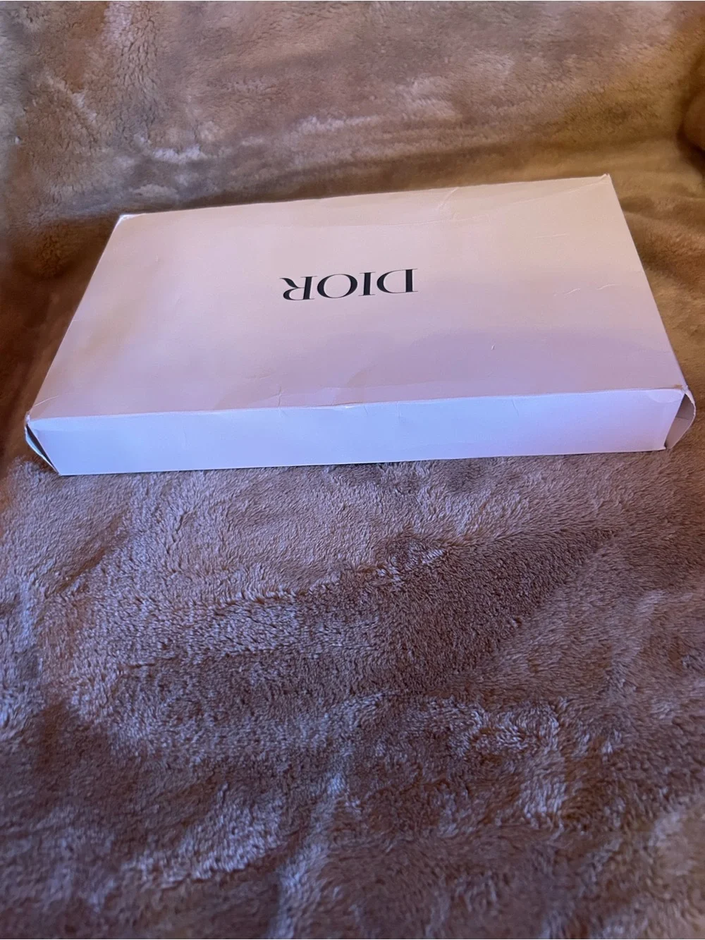 Dior Beige Cosmetic bag